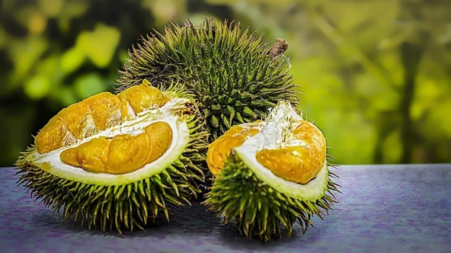 Pengembangan Varietas Durian Baru Didorong di Tabanan